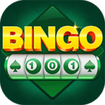 Bingo101 App Download Link