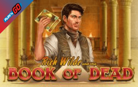 Book of Dead SlotsSpot logo